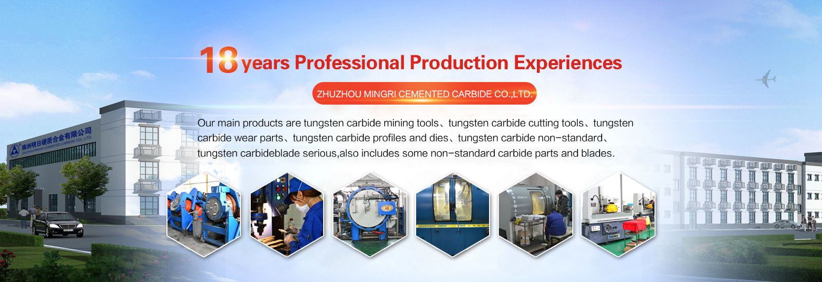 quality Tungsten Carbide Die factory
